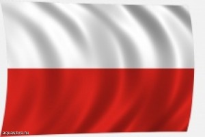lengyel_flag
